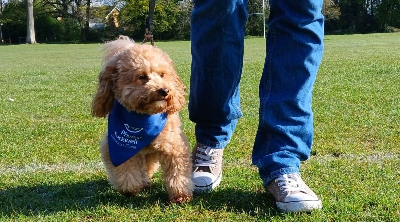 Phyllis Tuckwell - September Walkies Challenge