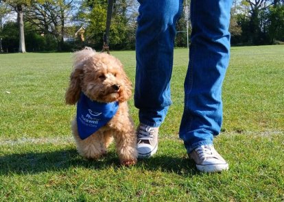 Phyllis Tuckwell - Past Events