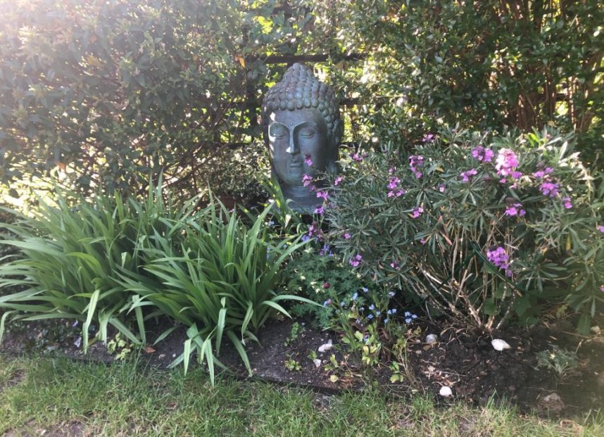 Phyllis Tuckwell - Fleet Neighbours Open Gardens*