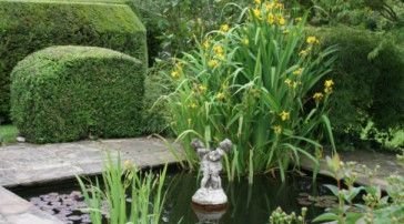 Chiddingfold - Open Gardens