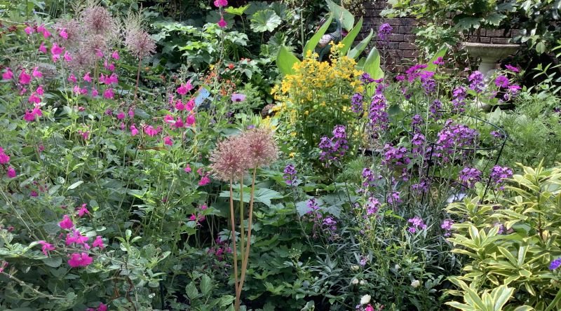 Chiddingfold - Open Gardens