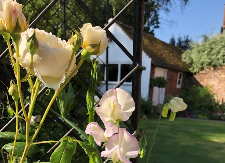 Phyllis Tuckwell - Bramley Open Gardens*