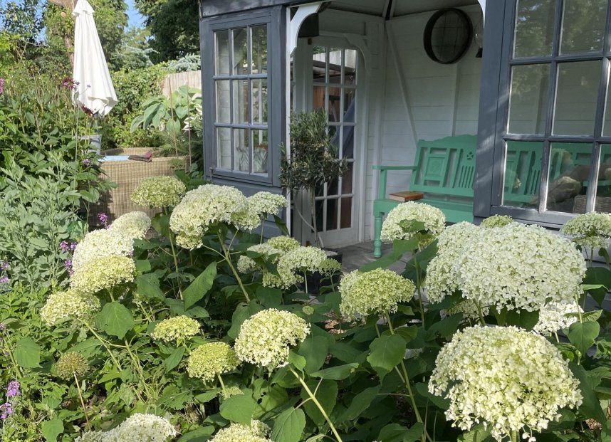 Phyllis Tuckwell - Busbridge Open Gardens*