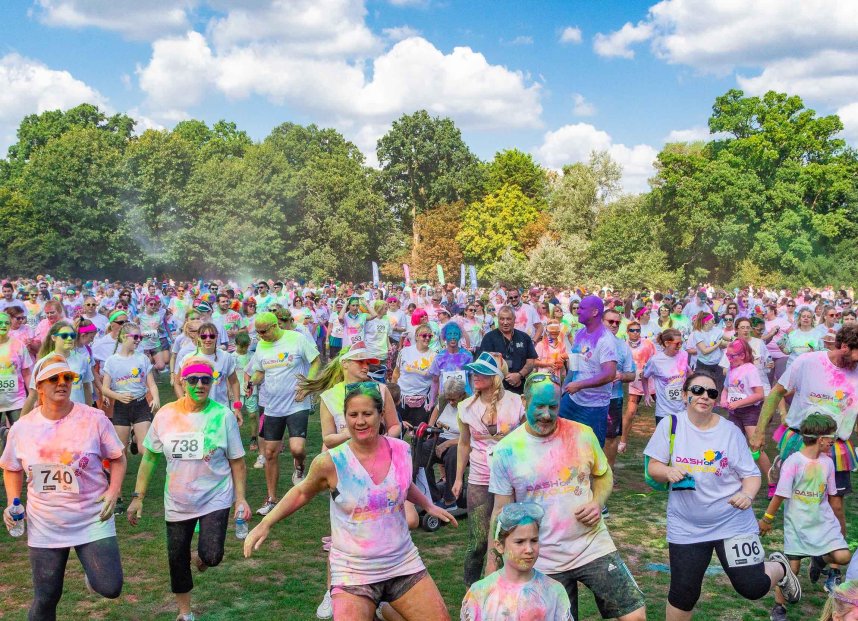 Phyllis Tuckwell - Dash of Colour