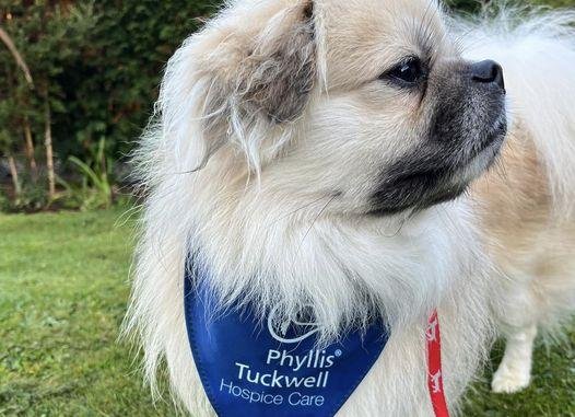 Phyllis Tuckwell - September Walkies Challenge