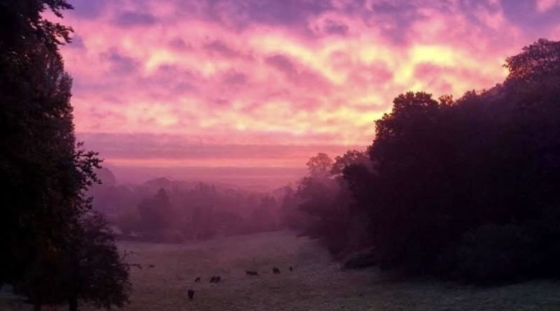 Walk for the Wards at Sunset - a walk to remember