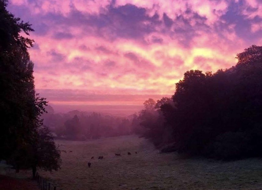 Phyllis Tuckwell - Walk for the Wards at Sunset - a walk to remember