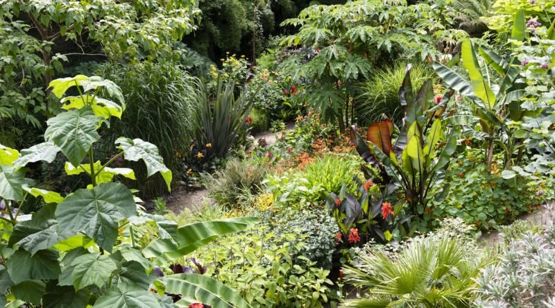 Chiddingfold - Open Gardens