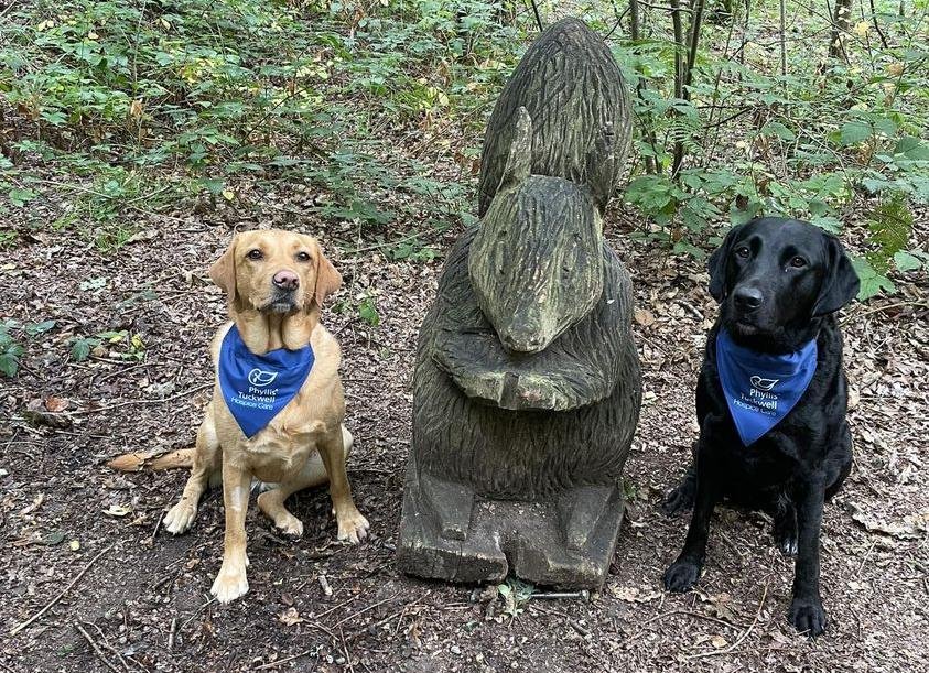 Phyllis Tuckwell - September Walkies Challenge