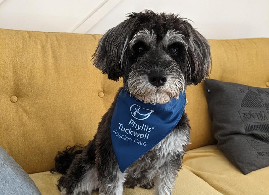 Phyllis Tuckwell - September Walkies Challenge