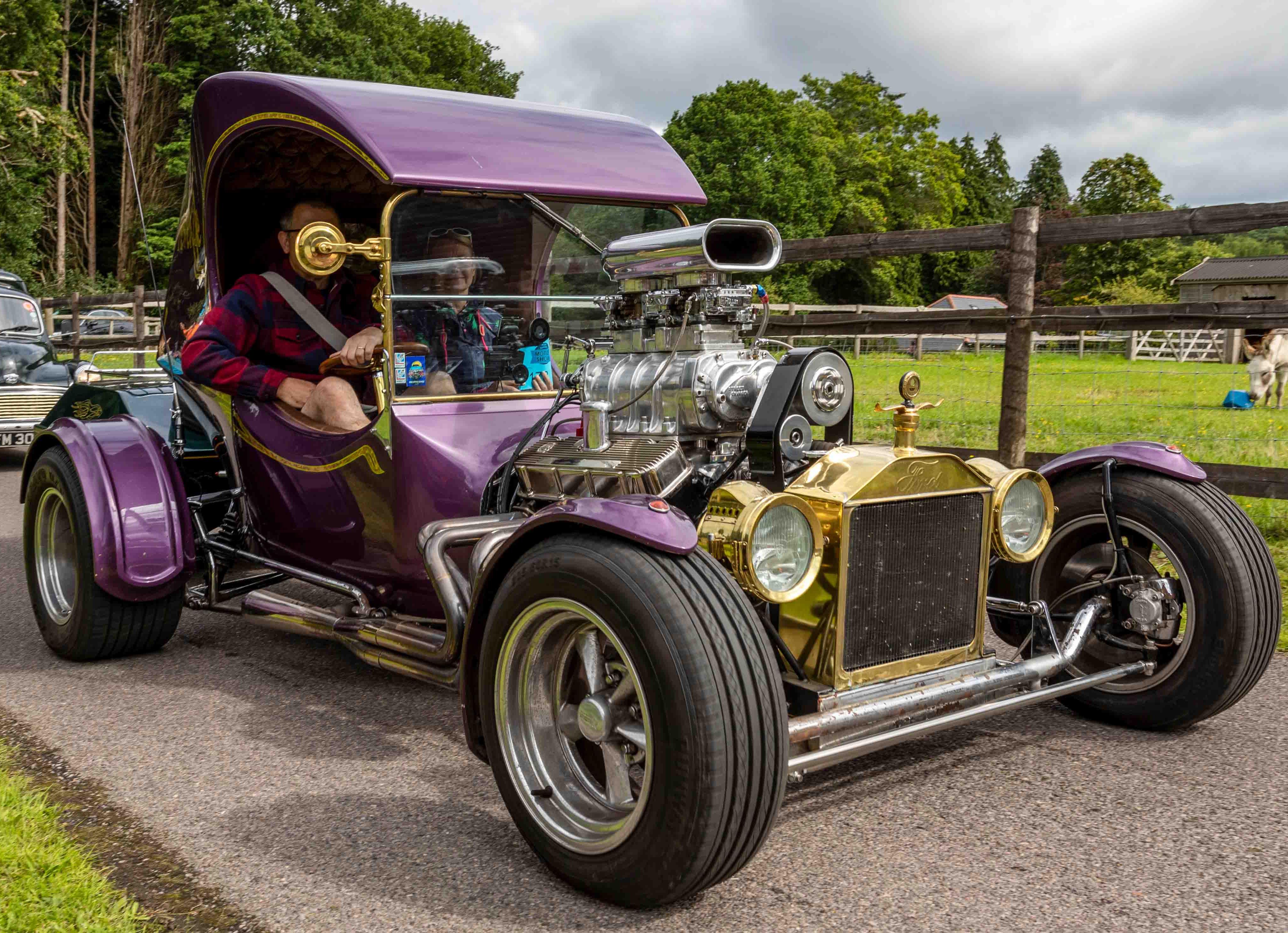 Phyllis Tuckwell Motor Show | Phyllis Tuckwell