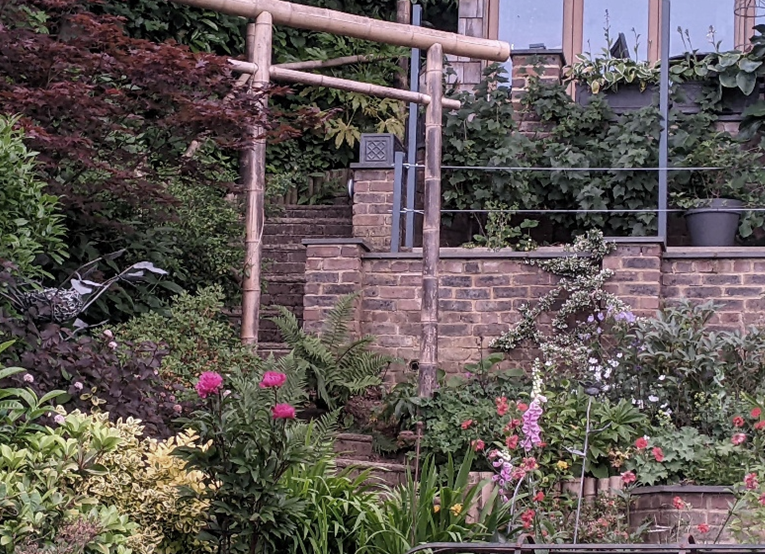 Phyllis Tuckwell - 46 Latimer Road, Godalming - Open Gardens*