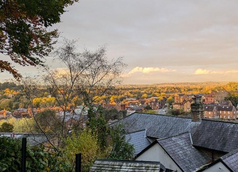 Phyllis Tuckwell - 46 Latimer Road, Godalming - Open Gardens*