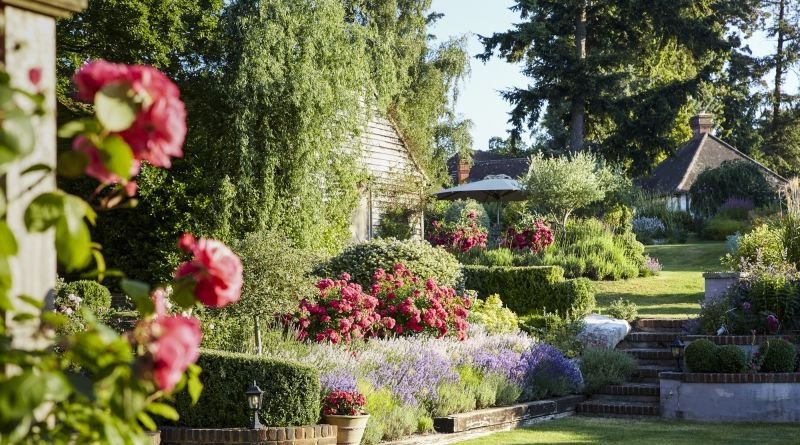 Phyllis Tuckwell - Shamley Green Open Gardens*