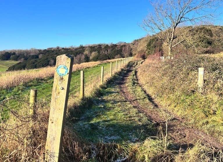 Phyllis Tuckwell - South Downs Trail*