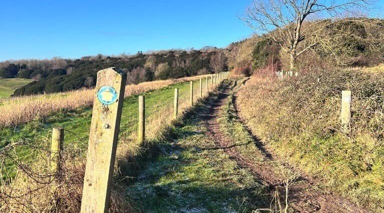 Phyllis Tuckwell - South Downs Trail*