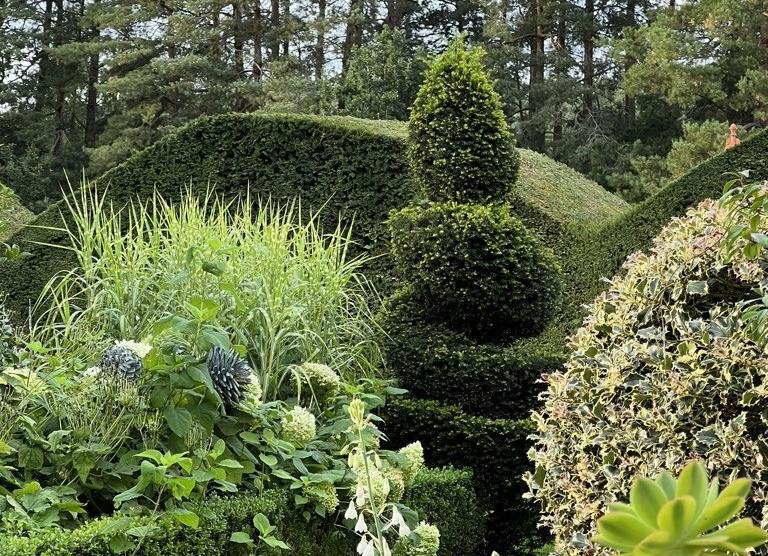 Phyllis Tuckwell - Art & Music in the Garden at Greenhills Estate