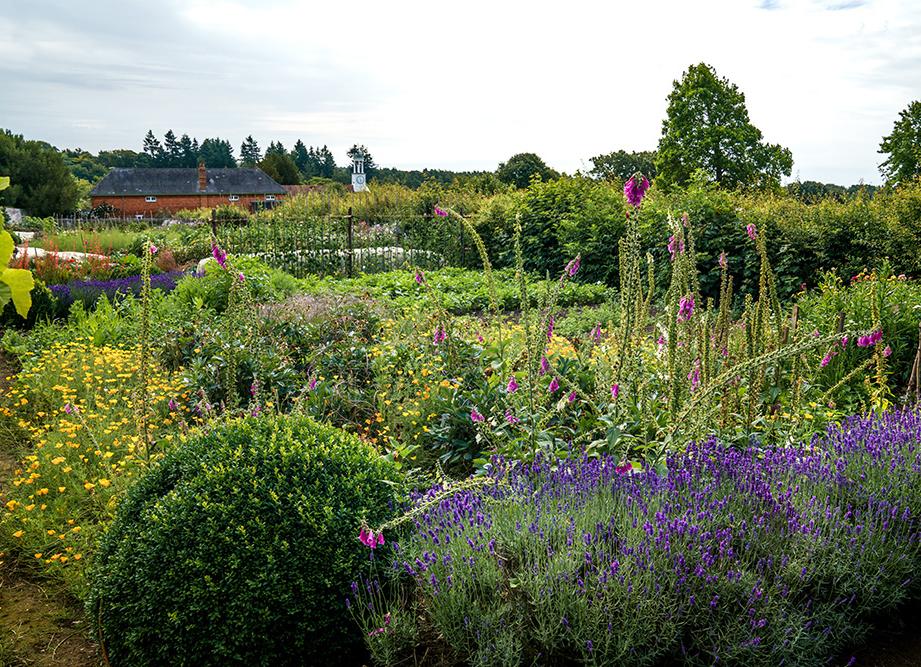 Jazz in the Garden at Hampton Estate | Phyllis Tuckwell