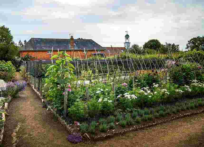 Jazz in the Garden at Hampton Estate | Phyllis Tuckwell