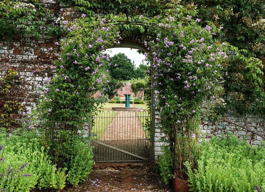 Jazz in the Garden at Hampton Estate | Phyllis Tuckwell