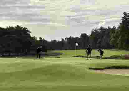 People playing golf
