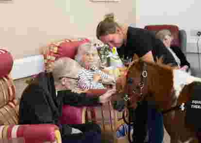Patient with therapy pony