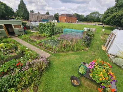 Phyllis Tuckwell - Badshot Lea Community Open Garden*