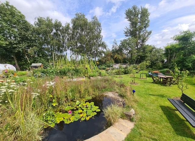 Phyllis Tuckwell - Badshot Lea Community Open Garden*