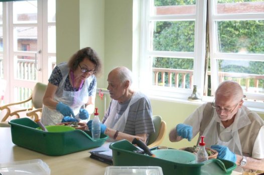 Volunteer and patients at therapy through nature