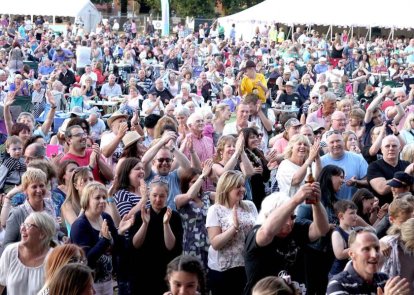 Crowd at music festival