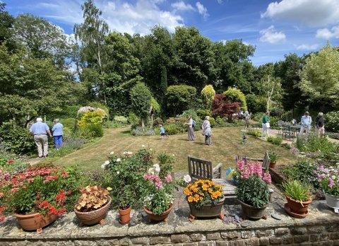 Phyllis Tuckwell - Busbridge Open Gardens*