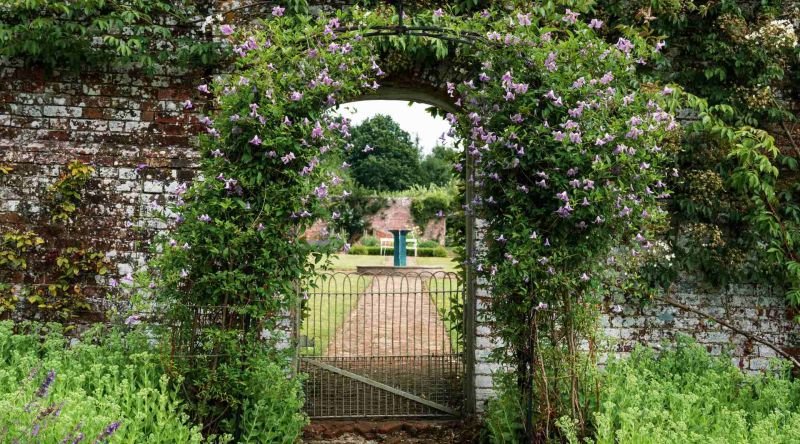 Garden with archway in wall