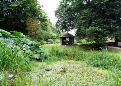 Garden with pond