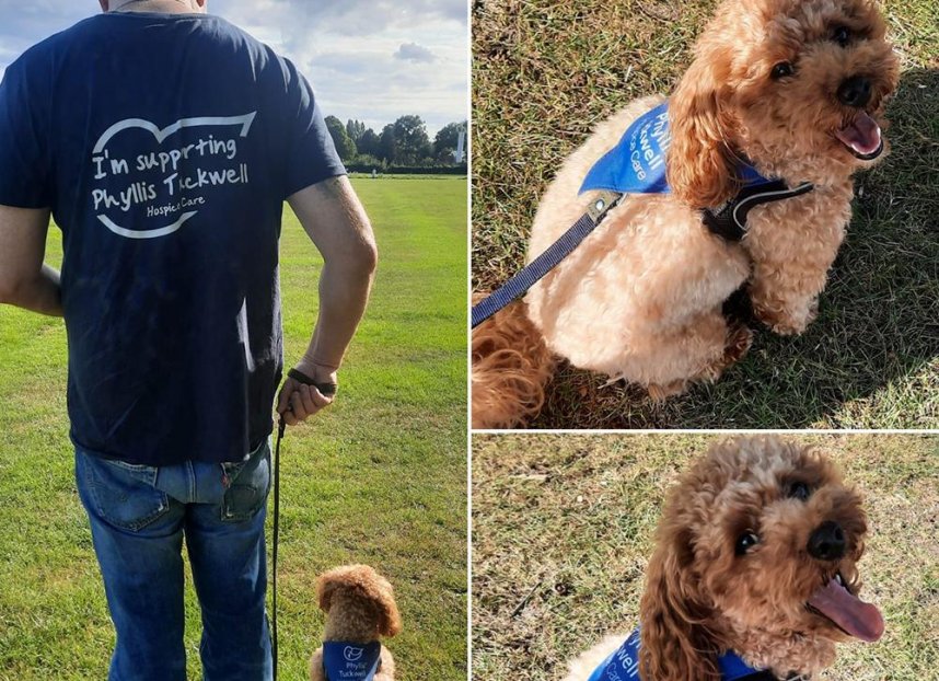 Phyllis Tuckwell - September Walkies Challenge