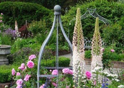 Flowers in garden