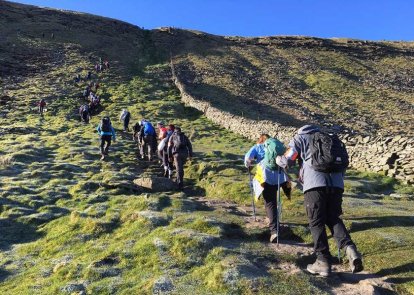 Phyllis Tuckwell - Past Events