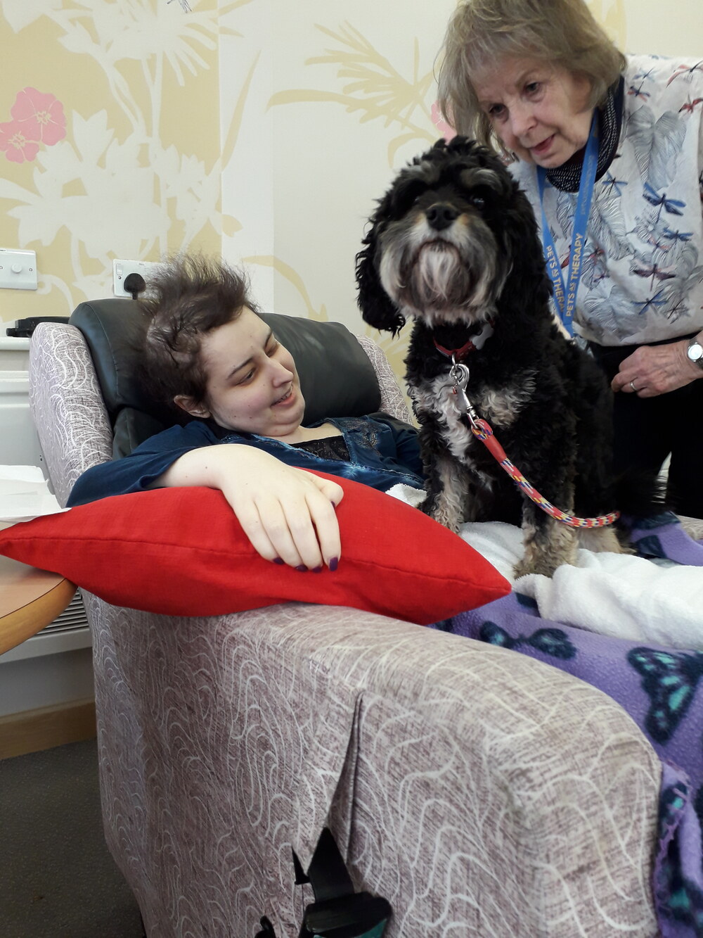Carly with a Pets as Therapy dog