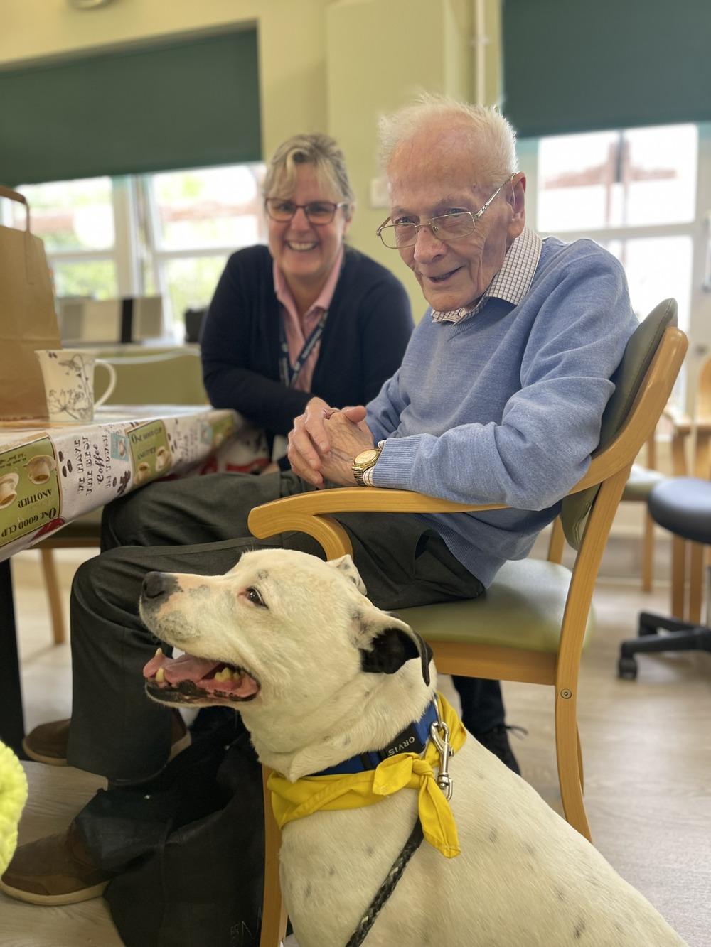 Des with a rehabilitation assistant