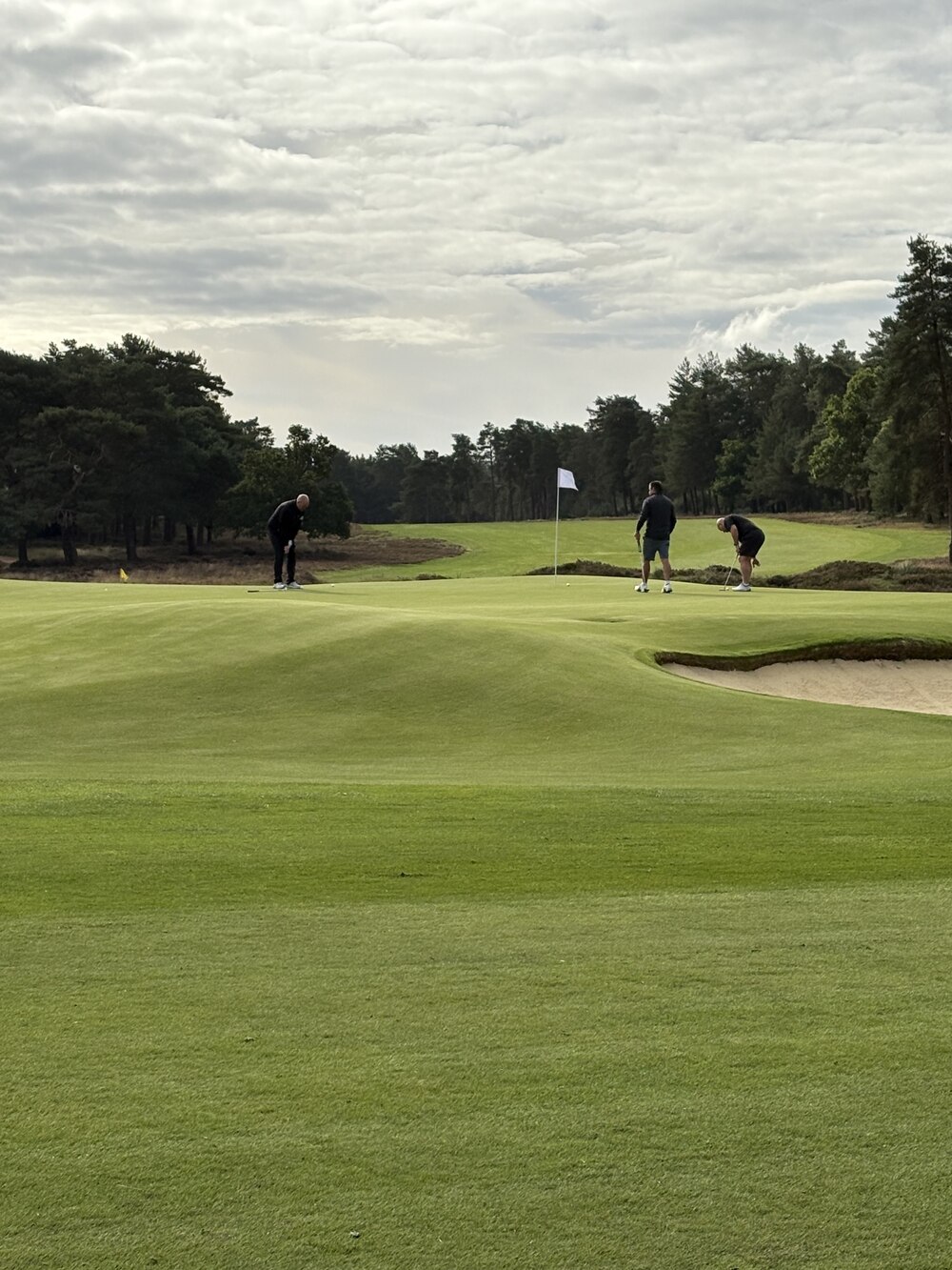 People playing golf