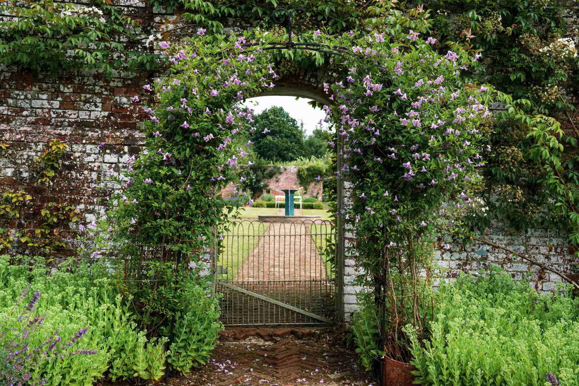 Garden with archway in wall
